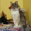 Отзыв от Наталья Попова